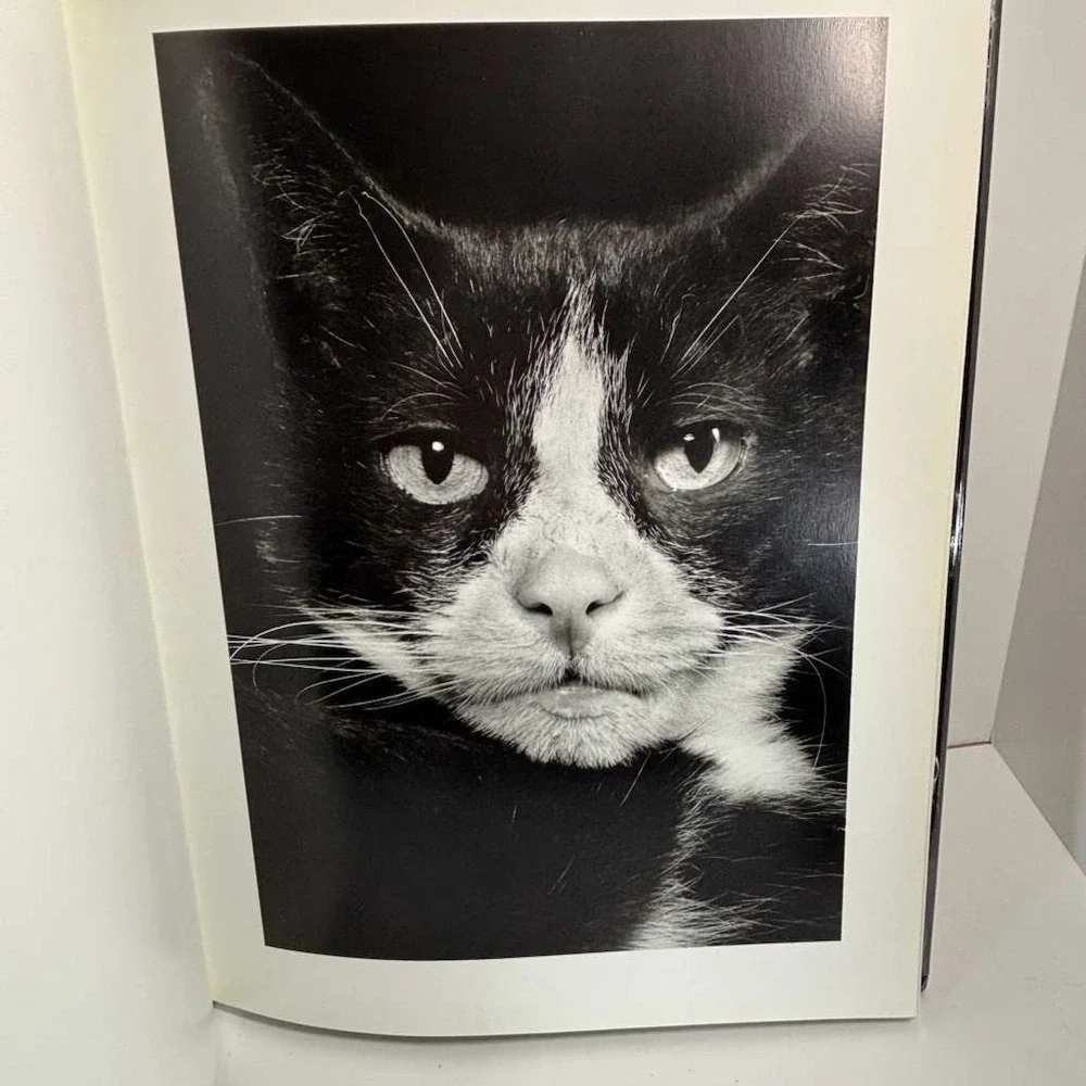 Animal Portraits by Walter Schels (2001 HCDJ) EDITION STEMMLE